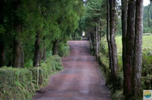 Day 8 Photo