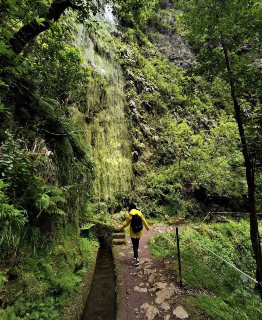 Levada do Rei