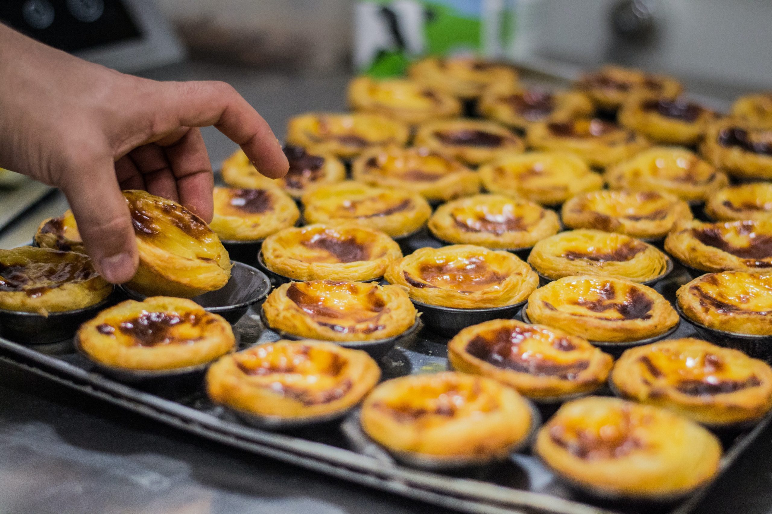 gastronomy pasteis