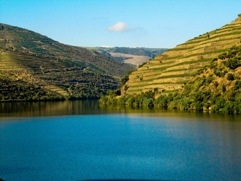 Douro River vineyards