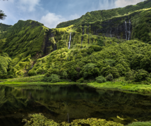 azores islands tour packages