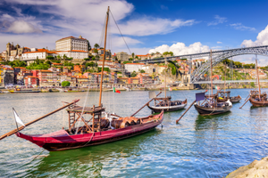 Wonders of Porto