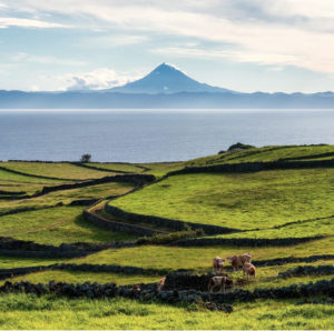Azores win award from Green Destinations